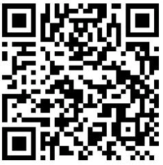 Иллюстрация к книге — Медный всадник [book-illustration-2.webp]