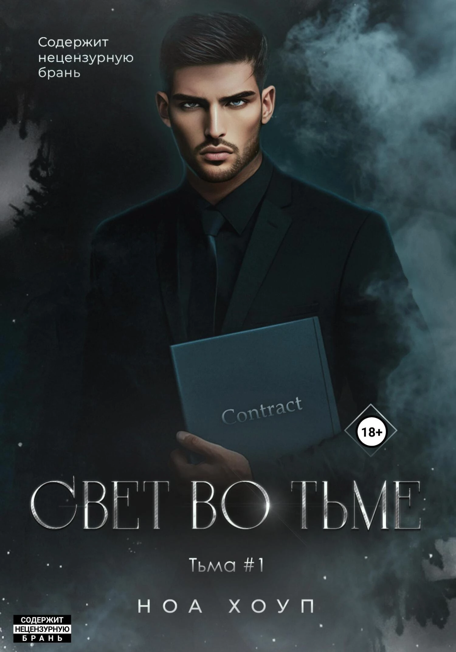 Книга Свет во тьме