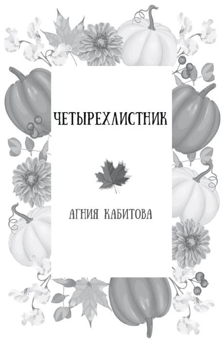 Иллюстрация к книге — Осень. Латте. Любовь [i_008.webp]