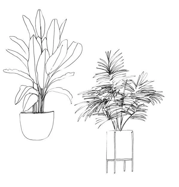 Иллюстрация к книге — Мои французские каникулы [i_004.webp]