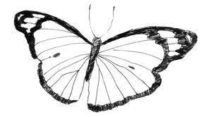 Иллюстрация к книге — Мои французские каникулы [i_018.webp]