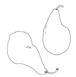 Иллюстрация к книге — Мои французские каникулы [i_027.webp]