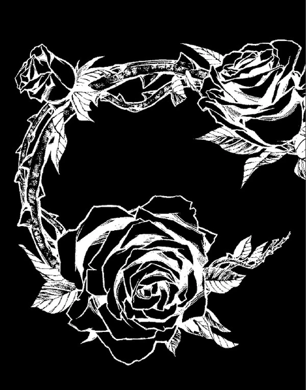 Иллюстрация к книге — Смерть ринханто [i_028.webp]