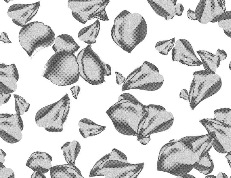 Иллюстрация к книге — Океан и Архитектор [i_016.webp]