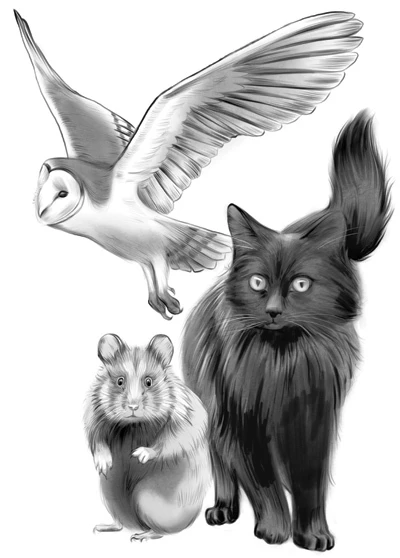 Иллюстрация к книге — Божественный спор [book-illustration-2.webp]