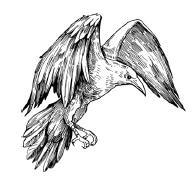 Иллюстрация к книге — Хозяйка ворон и железный доктор [i_004.webp]