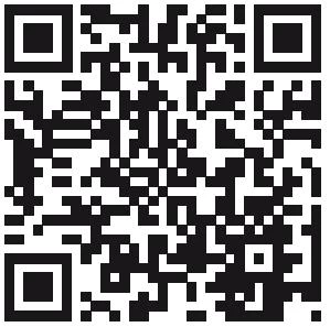 Иллюстрация к книге — Хозяйка ворон и железный доктор [i_005.webp]