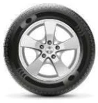 Иллюстрация к книге — Подожди со мной [book-illustration.webp]