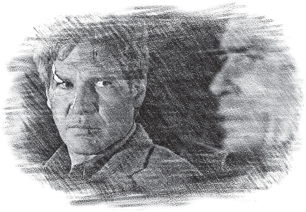 Иллюстрация к книге — Беглец. Несправедливо обвиненный [i_020.webp]