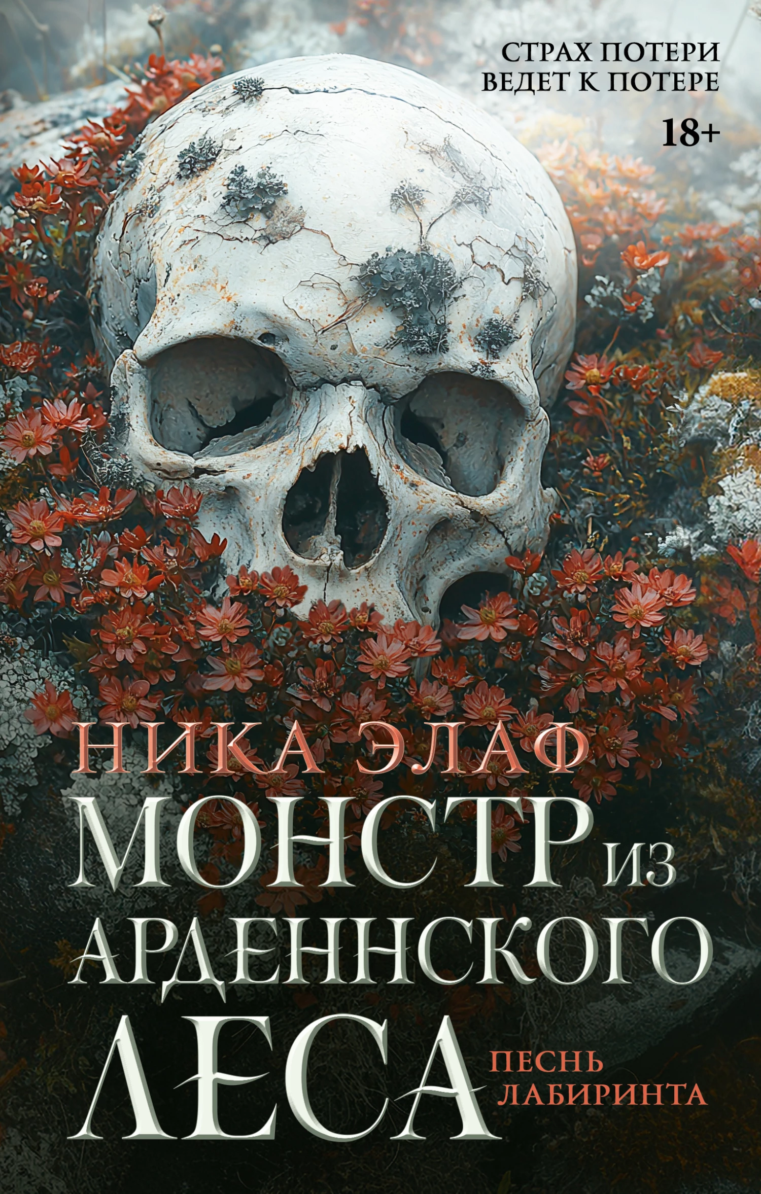 Книга Песнь лабиринта