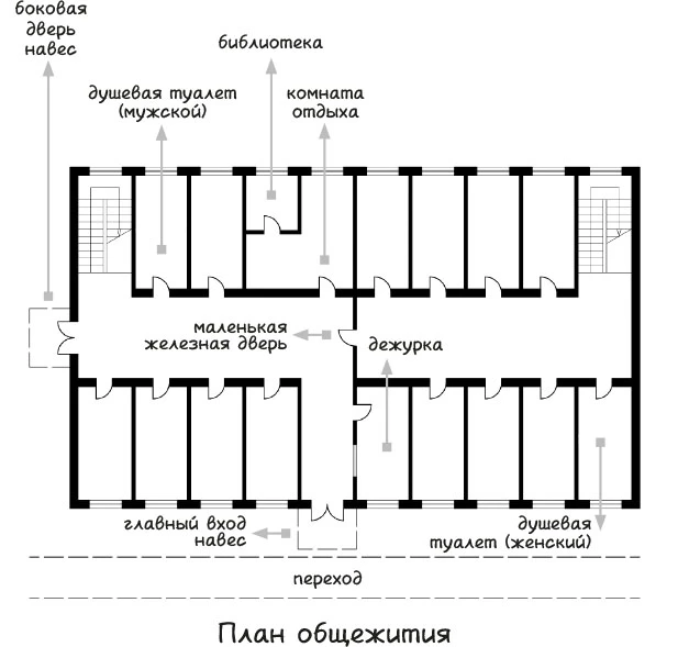 Иллюстрация к книге — Тогда и только тогда, когда снег белый [i_002.webp]