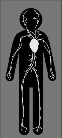 Иллюстрация к книге — Странный дом 2 [i_150.webp]