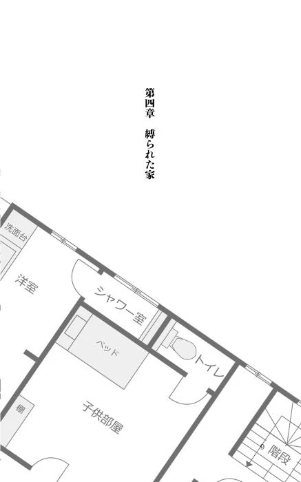 Иллюстрация к книге — Странный дом [i_077.webp]