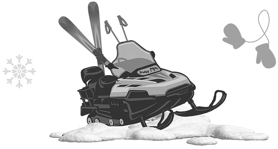 Иллюстрация к книге — Детектив к зиме [i_001.webp]