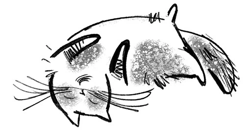 Иллюстрация к книге — Удивительные истории про собак, котов и даже хомяков [i_017.webp]