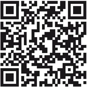 Иллюстрация к книге — В плену романа [i_004.webp]