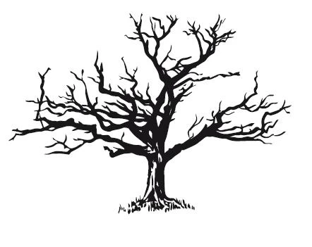 Иллюстрация к книге — Тропой забытых душ [i_002.webp]