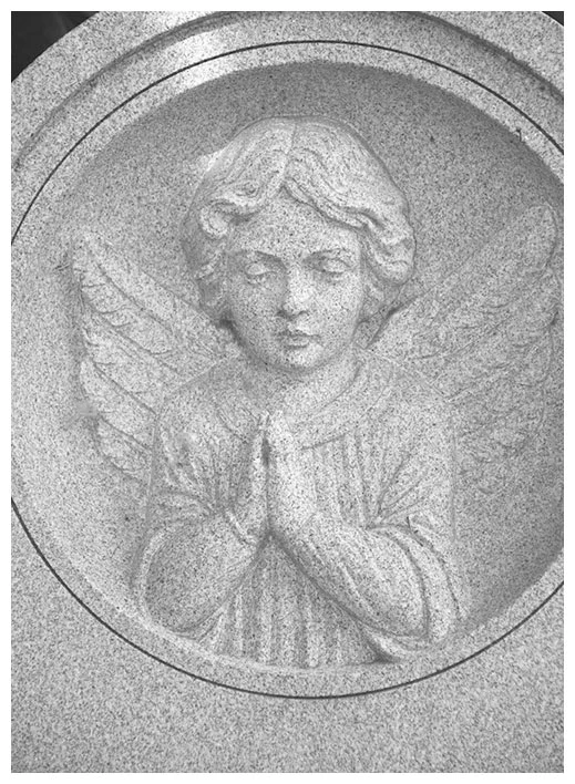 Иллюстрация к книге — Книга украденных детей. Американская история преступления, которое длилось 26 лет [i_033.webp]