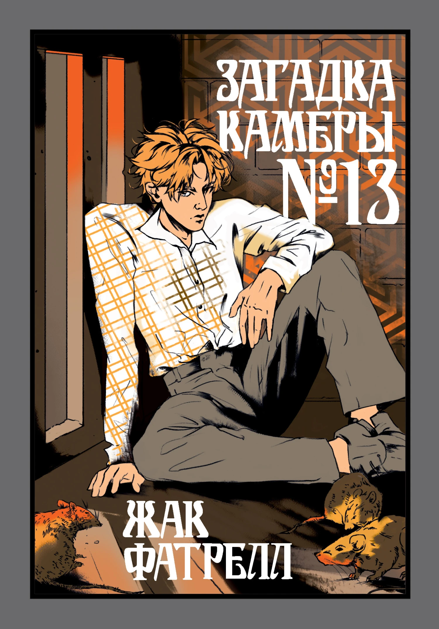 Книга Загадка камеры № 13