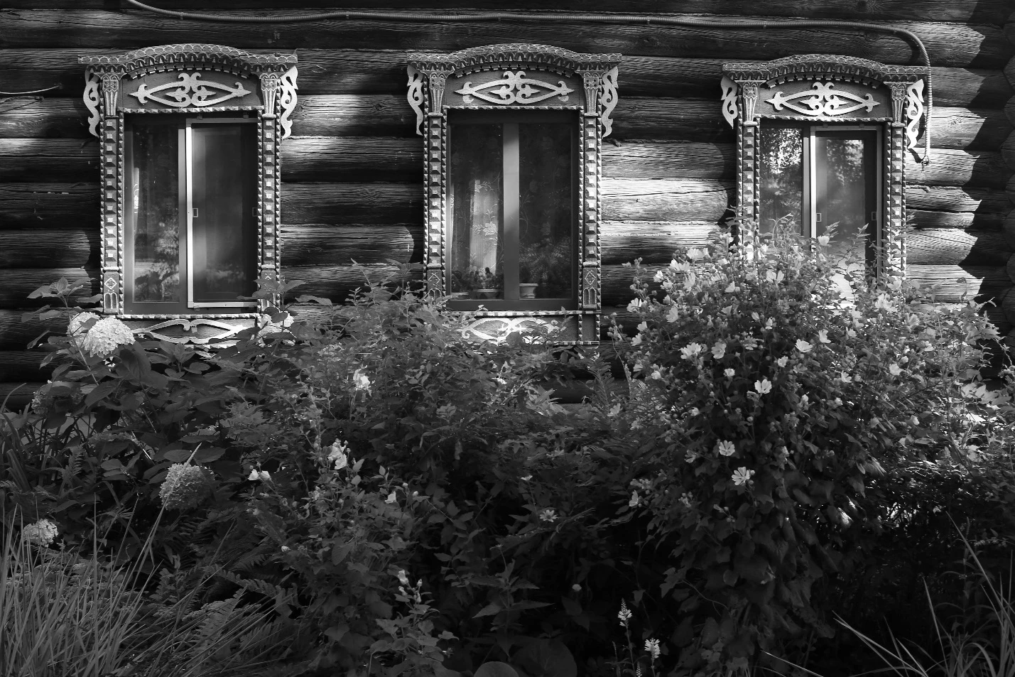 Иллюстрация к книге — Кот мяукнул в третий раз [_1.webp]