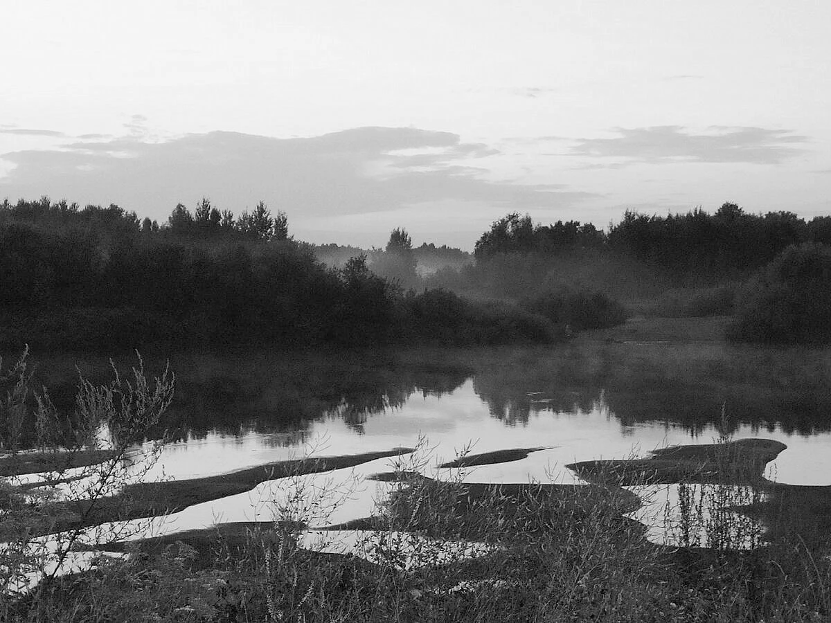 Иллюстрация к книге — Кот мяукнул в третий раз [_10.webp]