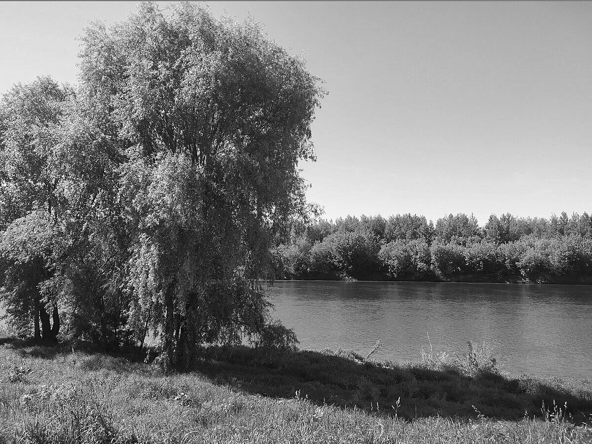 Иллюстрация к книге — Кот мяукнул в третий раз [_9.webp]