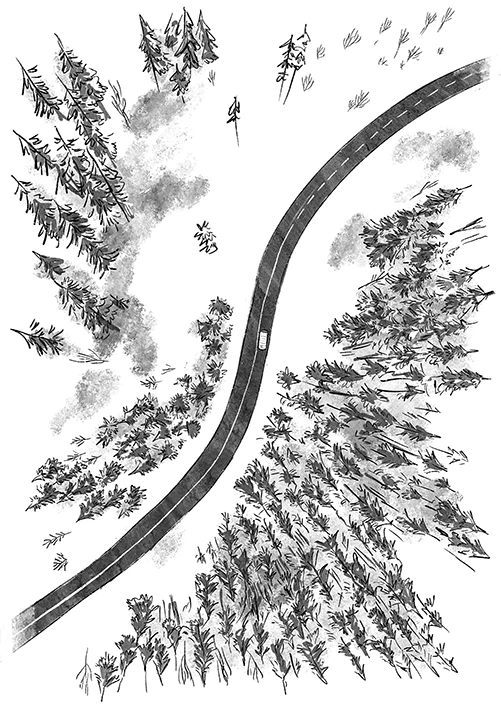 Иллюстрация к книге — Наперегонки с ветром [i_009.webp]