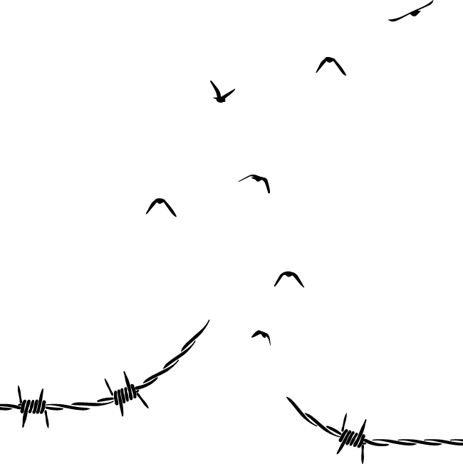 Иллюстрация к книге — Акушерка Аушвица. Основано на реальных событиях [i_001.webp]