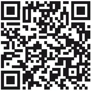 Иллюстрация к книге — Последние невесты Романовых [i_003.webp]