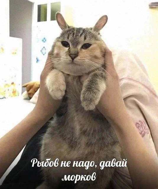 Иллюстрация к книге — Приманка Хаоса 16 18+ [book-illustration-1.webp]