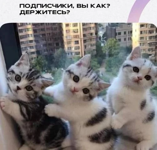 Иллюстрация к книге — Приманка Хаоса 13 - Мир Бездны 18+ [book-illustration-1.webp]