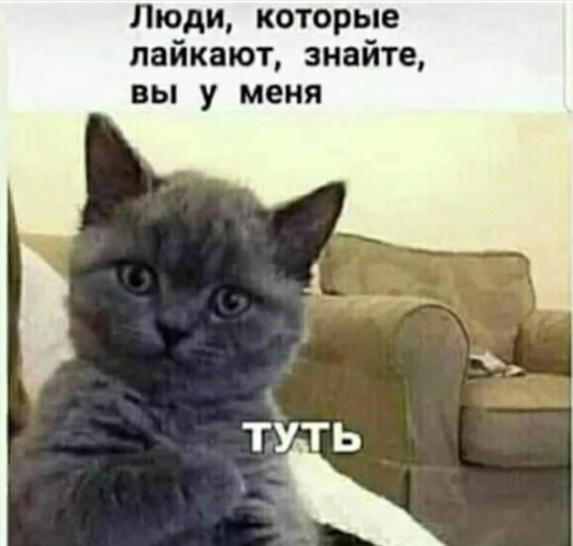 Иллюстрация к книге — Приманка Хаоса 07 [book-illustration-2.webp]