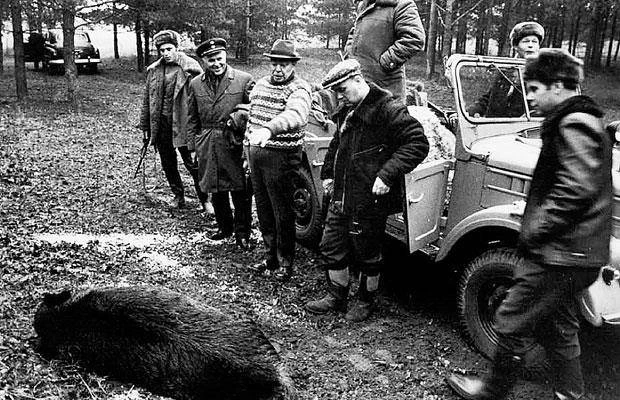 Иллюстрация к книге — Телохранитель Генсека. Том 2 [book-illustration-6.webp]