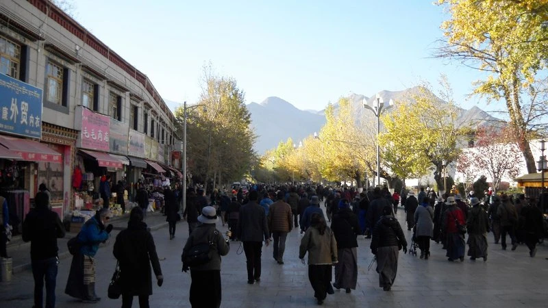 Иллюстрация к книге — Шпион из поднебесной [book-illustration-56.webp]