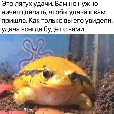 Иллюстрация к книге — Мимик нового Мира 12 [book-illustration-2.webp]