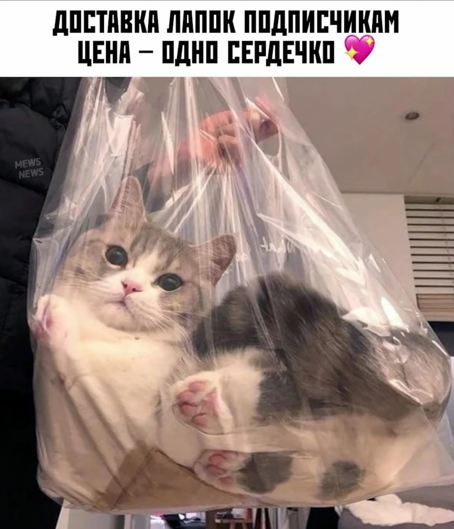 Иллюстрация к книге — Новый Рал [book-illustration-1.webp]