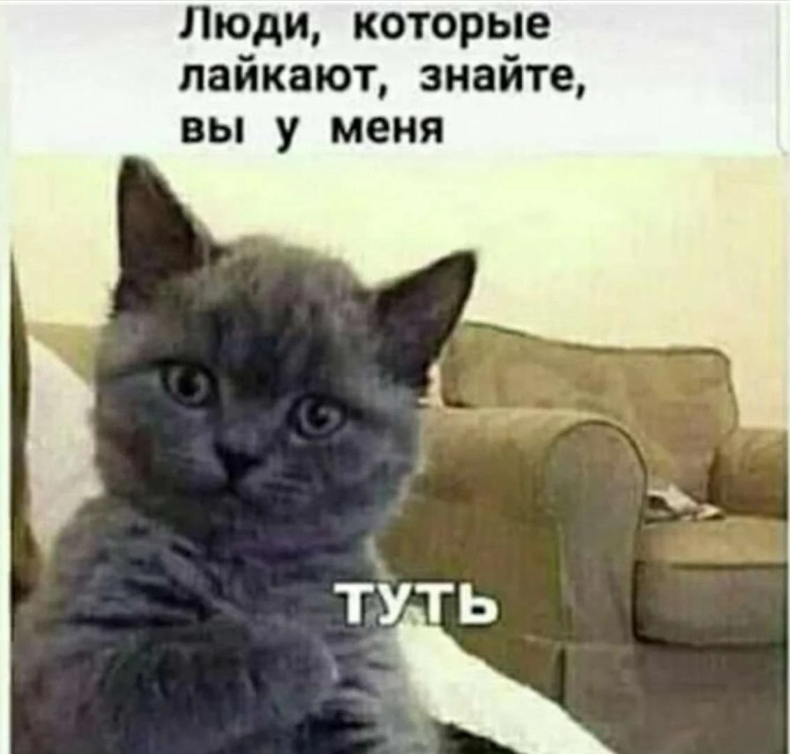 Иллюстрация к книге — Новый Рал 2 [book-illustration-3.webp]