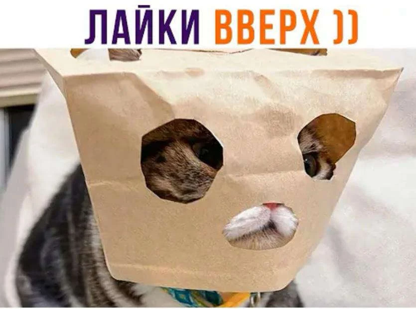 Иллюстрация к книге — Новый Рал 2 [book-illustration-4.webp]