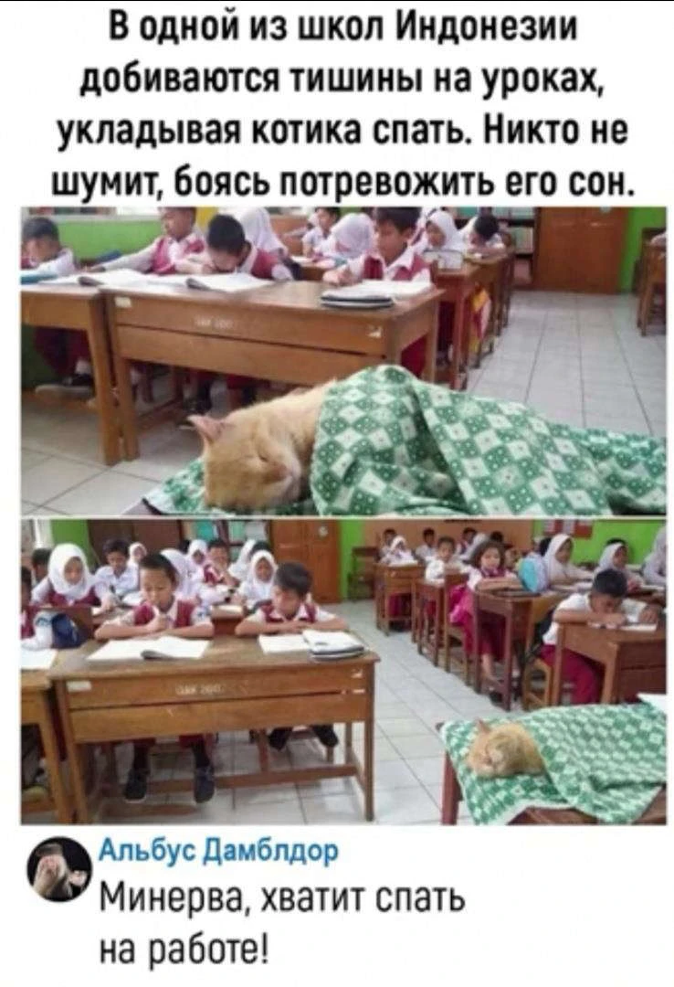 Иллюстрация к книге — Новый Рал 2 [book-illustration-6.webp]