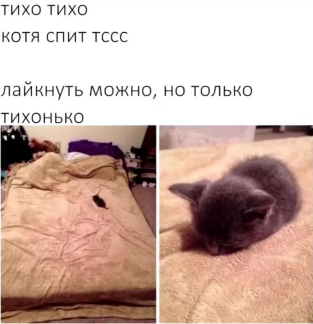 Иллюстрация к книге — Новый Рал 2 [book-illustration-7.webp]