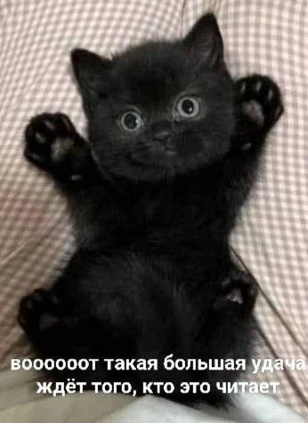 Иллюстрация к книге — Новый Рал 9 [book-illustration-1.webp]