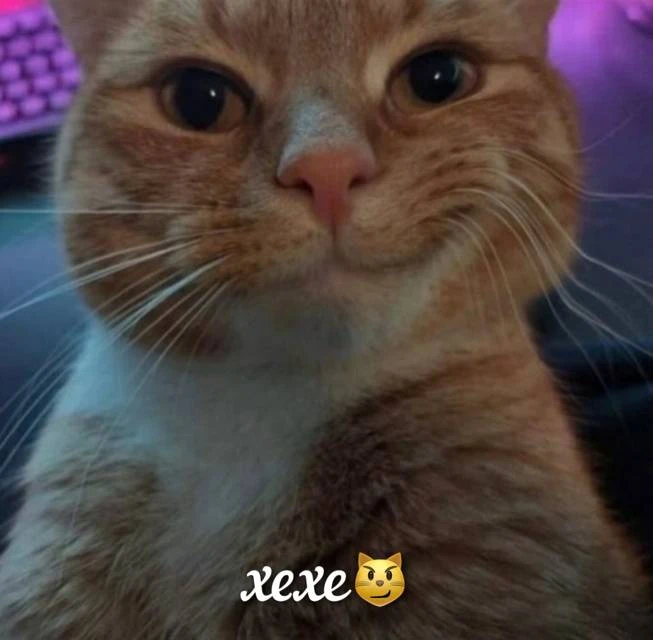 Иллюстрация к книге — Новый Рал 11 [book-illustration-1.webp]