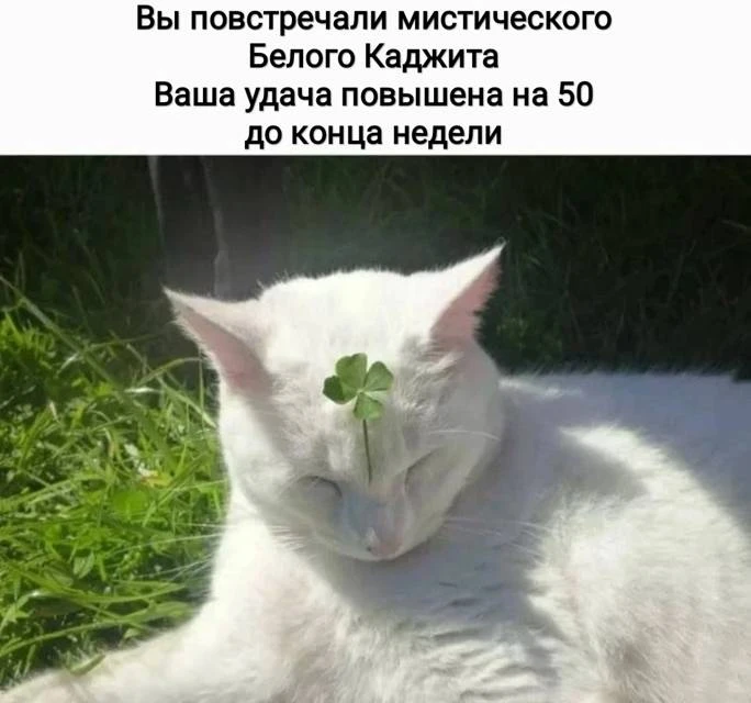 Иллюстрация к книге — Новый Рал 12 [book-illustration-1.webp]