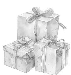 Иллюстрация к книге — Поцелуй под снегом [i_004.webp]