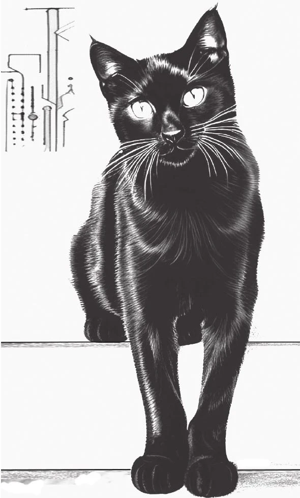 Иллюстрация к книге — Эксгрегум [i_007.webp]