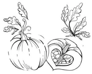 Иллюстрация к книге — Исчезновение в седых холмах [i_001.webp]