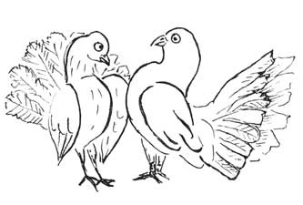 Иллюстрация к книге — Дом на отшибе [i_003.webp]