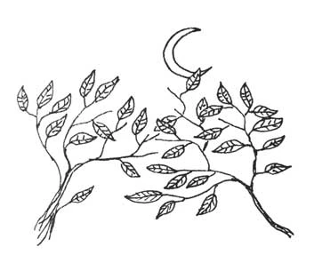 Иллюстрация к книге — Дом на отшибе [i_012.webp]