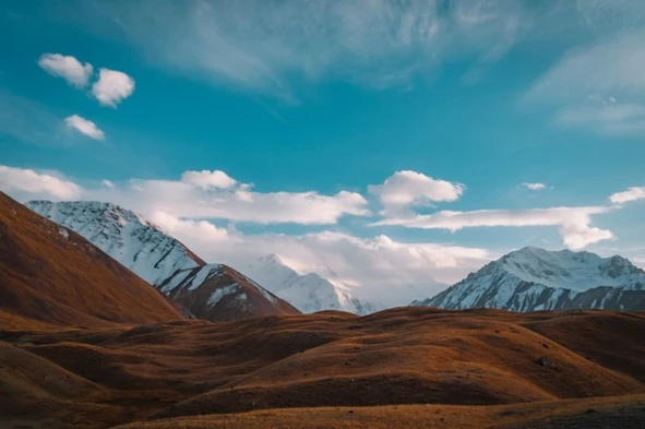 Иллюстрация к книге — Цифровая гигиена. Том 2 [book-illustration-11.webp]