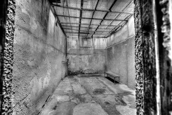 Иллюстрация к книге — Цифровая гигиена. Том 2 [book-illustration-29.webp]